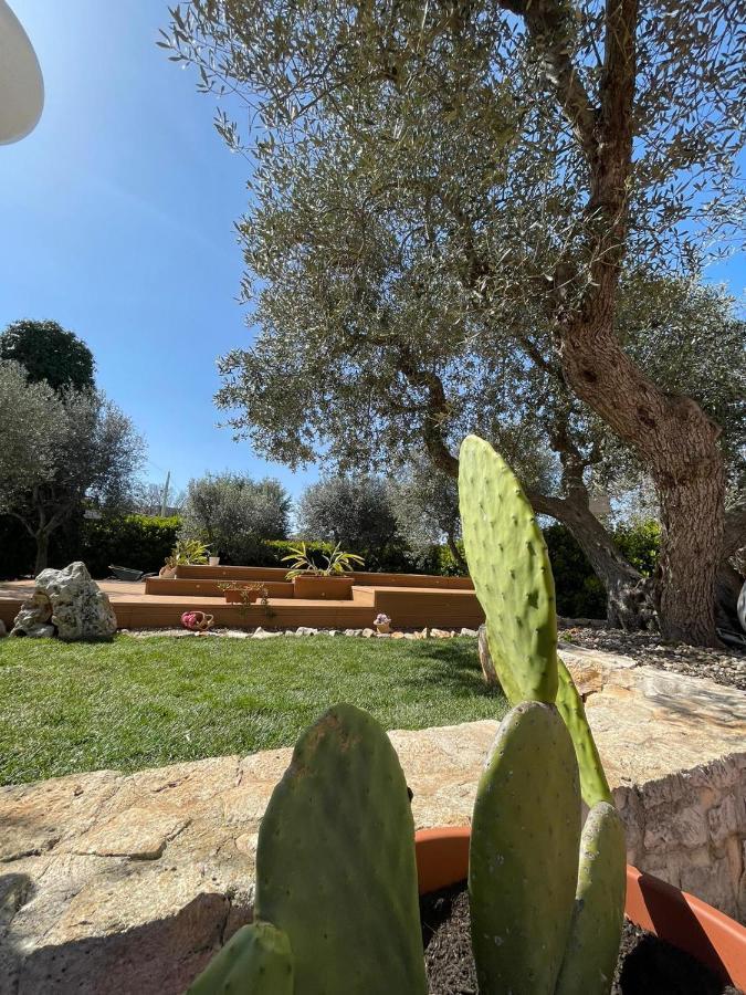 Villa dama Cisternino Esterno foto
