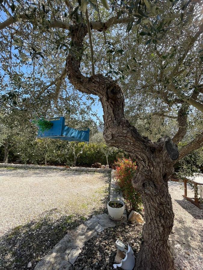 Villa dama Cisternino Esterno foto