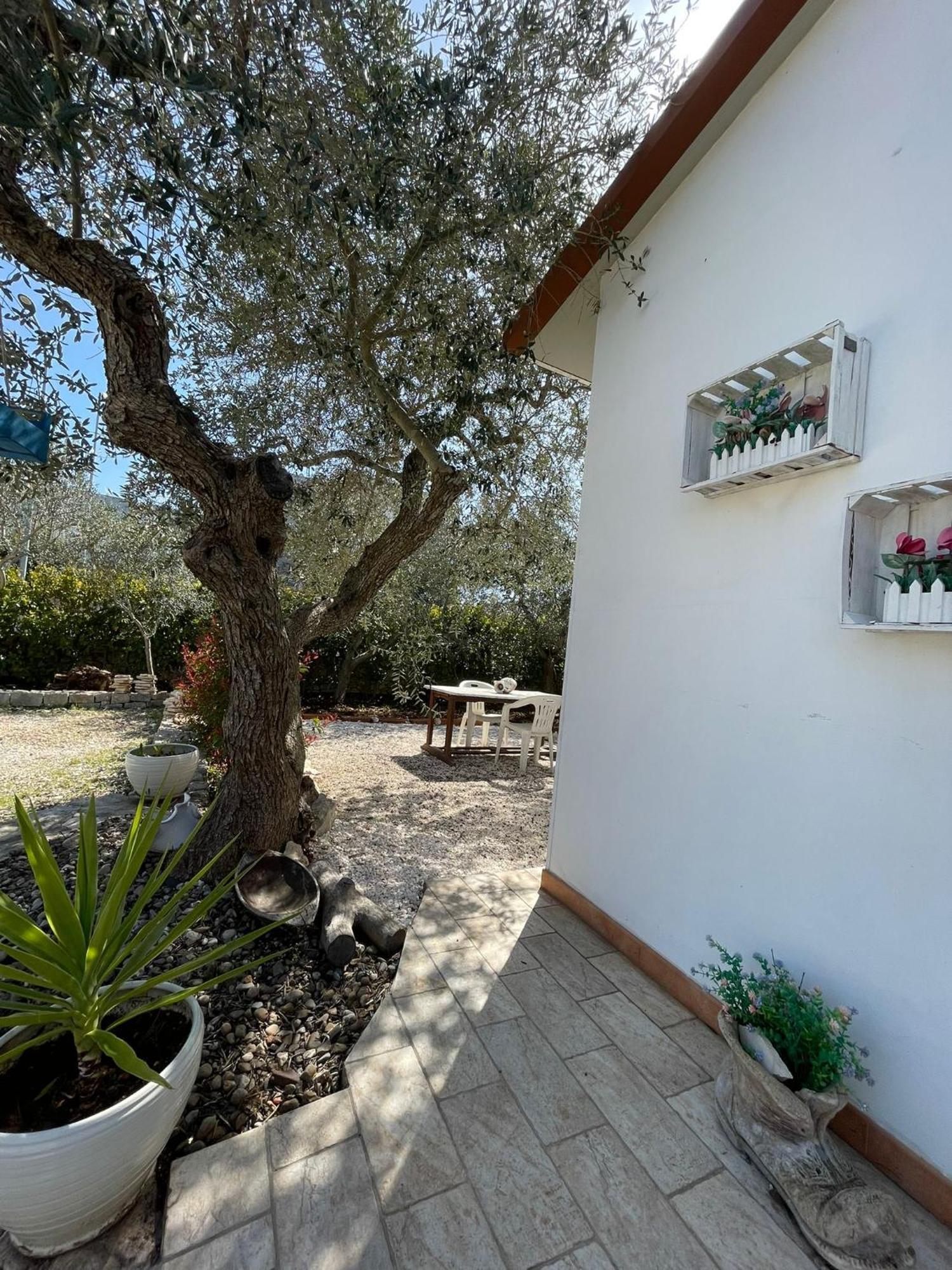 Villa dama Cisternino Esterno foto